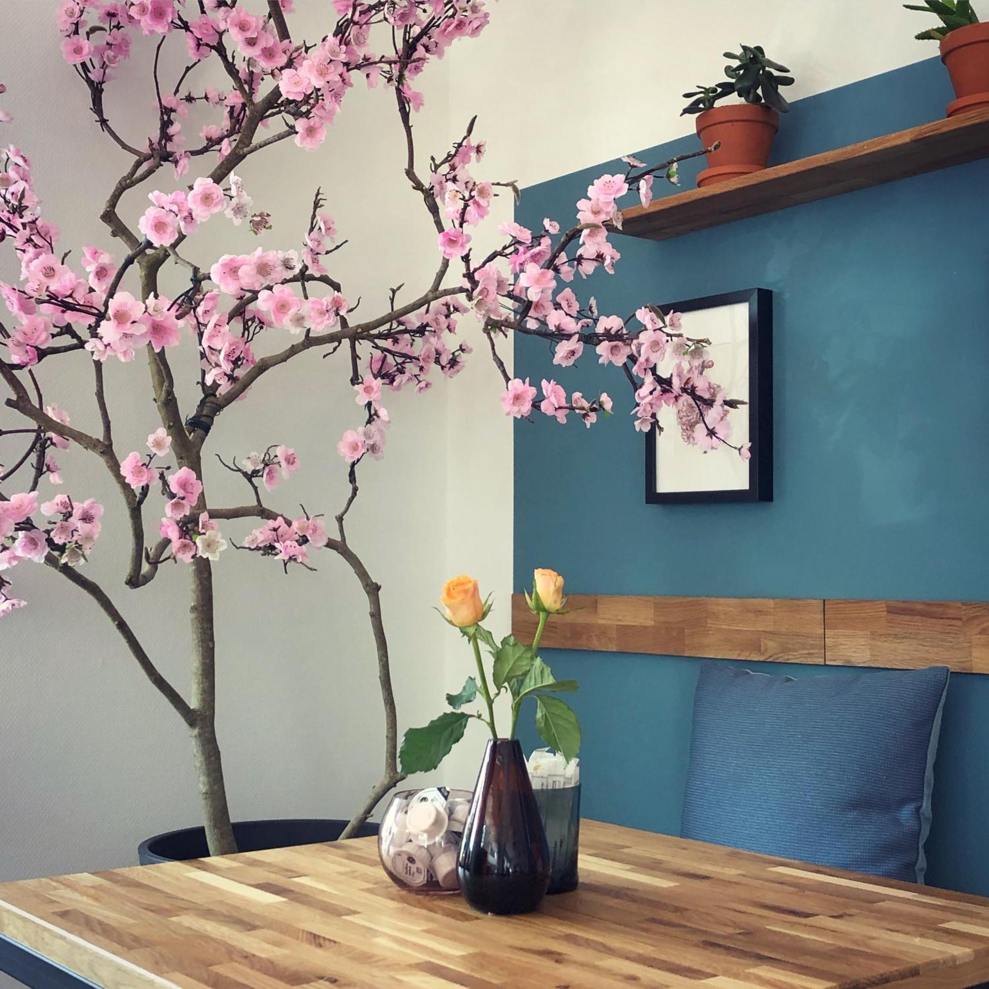 Apartment Kirschbluete2 诺登 外观 照片